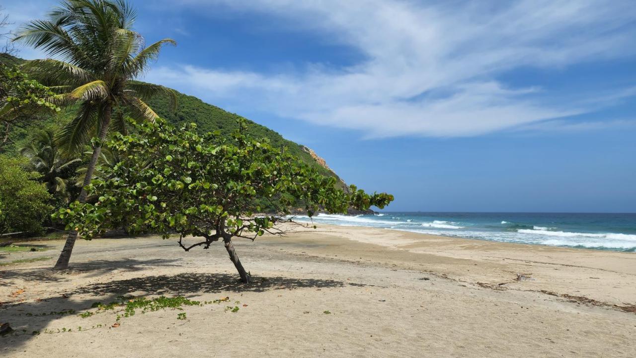 Ecolodge Playa Brava Teyumakke Calabazo  외부 사진