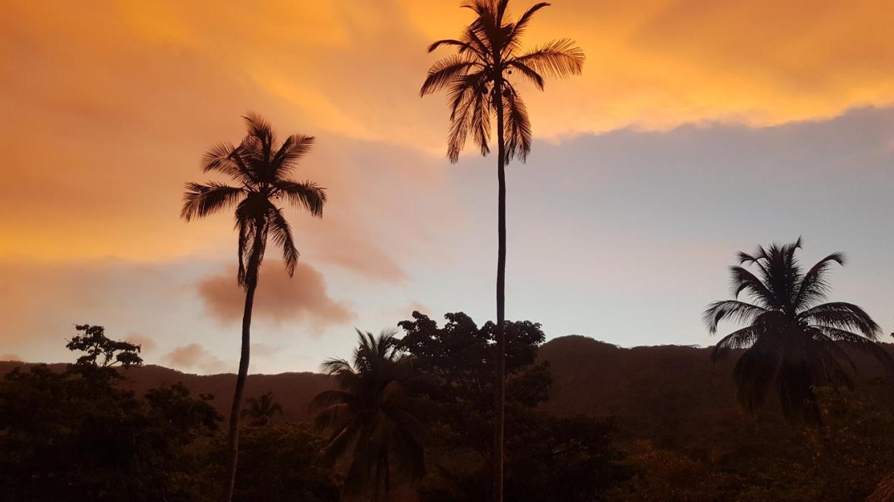 Ecolodge Playa Brava Teyumakke Calabazo  외부 사진